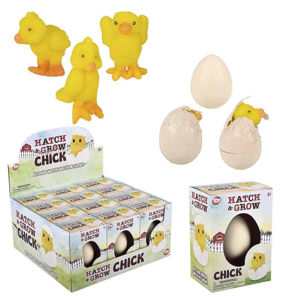 Buy Small Hatch And Grow Chick Egg in Bulk