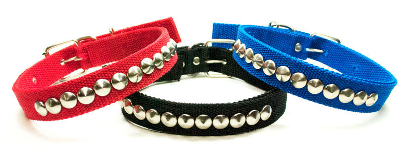 Bulk Buy 20" Small Stud Pet Collars Wholesale