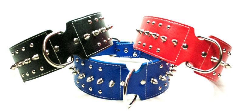 Single Spiked Wide Dog Collar