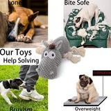 Plush Dog Chew Toys