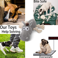 Plush Dog Chew Toys