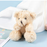 Teddy Bear Plush & Cuddly Stuffed Toy
