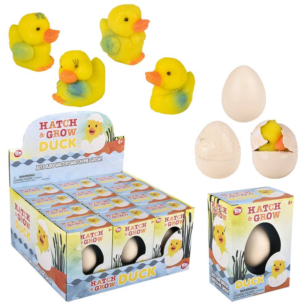 Buy Small Hatch And Grow Duck Egg in Bulk