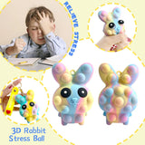 3D Rabbit Push Bubble Fidget Toys