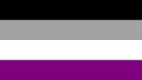 Wholesale ASEXUAL rainbow PRIDE 3 X 5 FLAG ( sold by the piece )