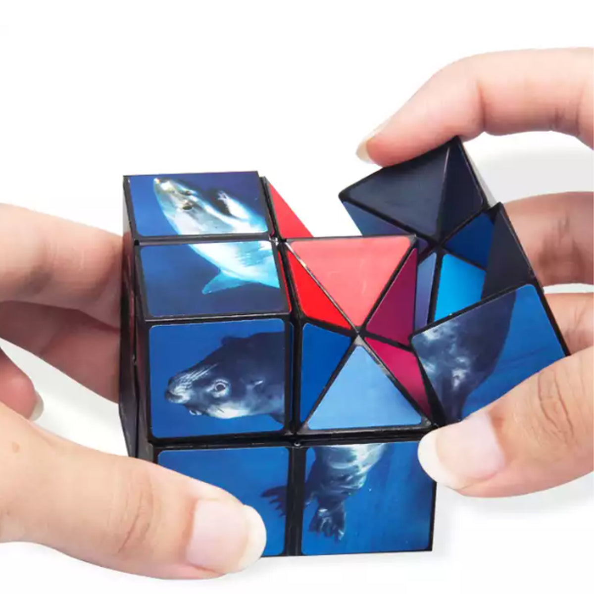 Infinity Cubes Star Puzzle Toy