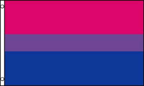 Buy BI PRIDE RAINBOW bisexual 3 X 5 FLAG Bulk Price