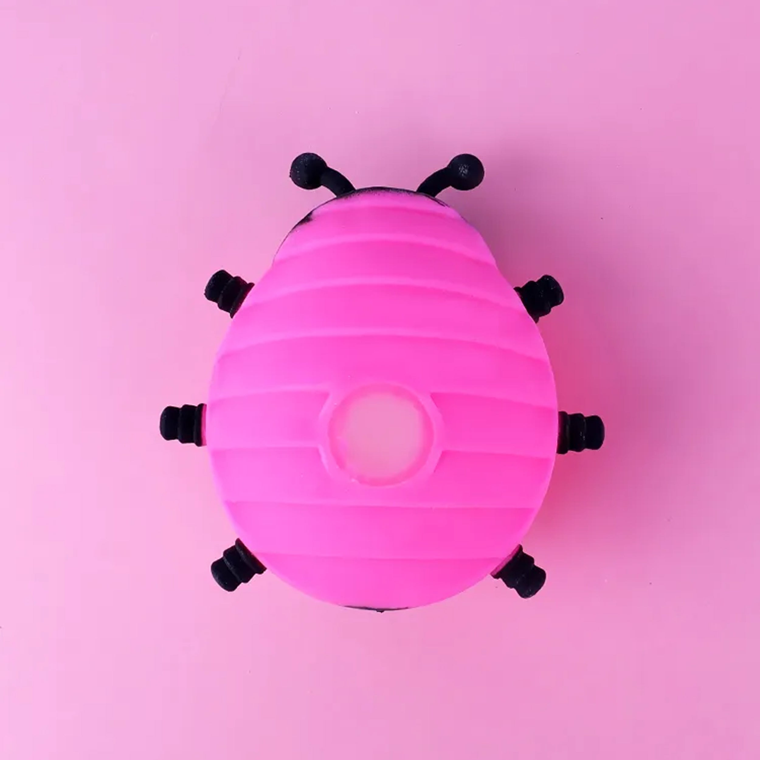 Squishy Beetle Fidget Toys