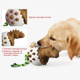 Dinosaur Teeth Clean Dog Chew Toy