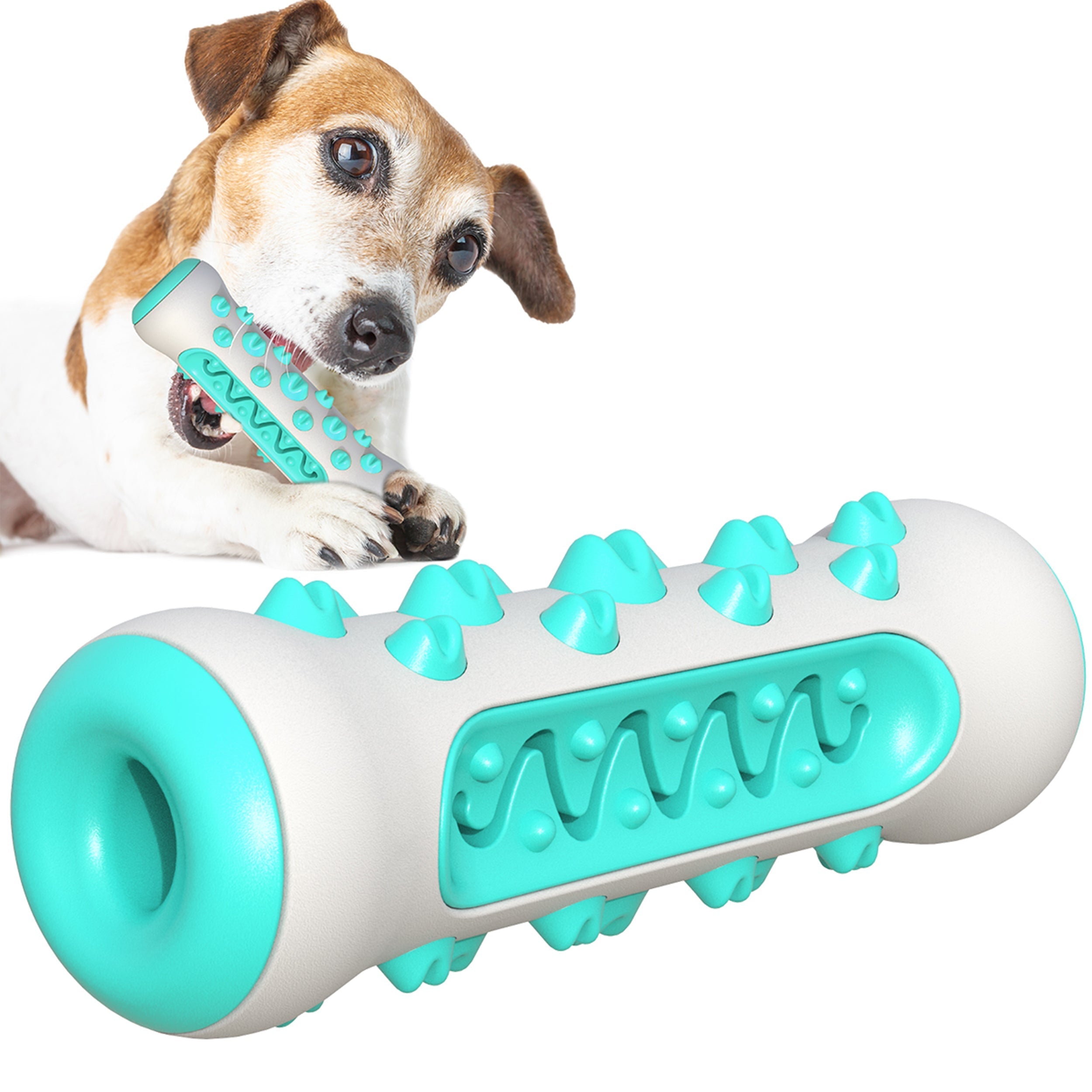Cylinder Teeth Clean Dog Chew Toy