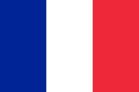 Buy FRANCE COUNTRY 3' X 5' FLAGBulk Price