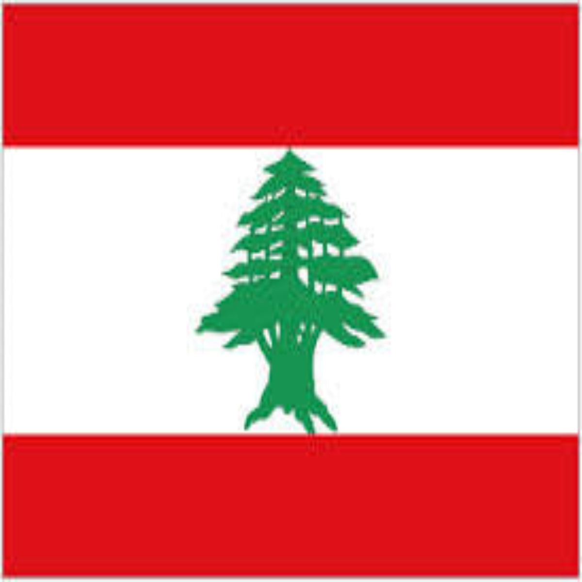 Wholesale LEBANON Country 3' X 5' Flag (Sold by the piece)