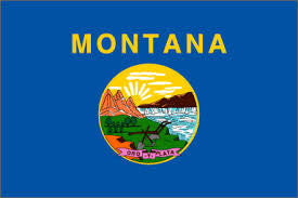 Wholesale MONTANA 3' X 5' FLAG (Sold by the piece)