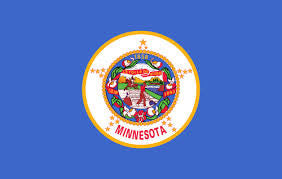 Wholesale MINNESOTA 3' X 5' FLAG (Sold by the piece)