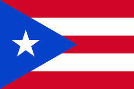 Buy PUERTO RICO COUNTRY 3' X 5' FLAGBulk Price