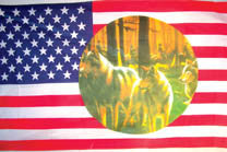 Wholesale USA AMERCIAN INDIAN RIDERS AND WOLVES 3' X 5' FLAG (Sold by the piece)