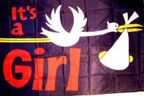 Wholesale IT"S A GIRL 3' X 5' FLAG (Sold by the piece)