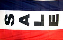 Wholesale VERTICAL SALE 3' X 5' FLAG (Sold by the piece)