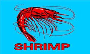 Buy SHRIMP BLUE 3' x 5' FLAGBulk Price