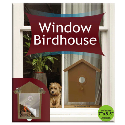 Window Bird House Watcher