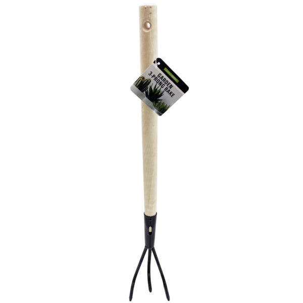 18.5 3-Prong Garde Rake with Wooden Handle MOQ-4Pcs, 6.56$/Pc