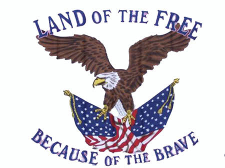 Wholesale LAND OF THE FREE BECAUSE OF THE BRAVE 3' X 5' FLAG (Sold by the piece)