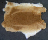 Wholesale LIGHT BROWN NATURAL RABBIT SKIN PELT (Sold by the piece of dozen )