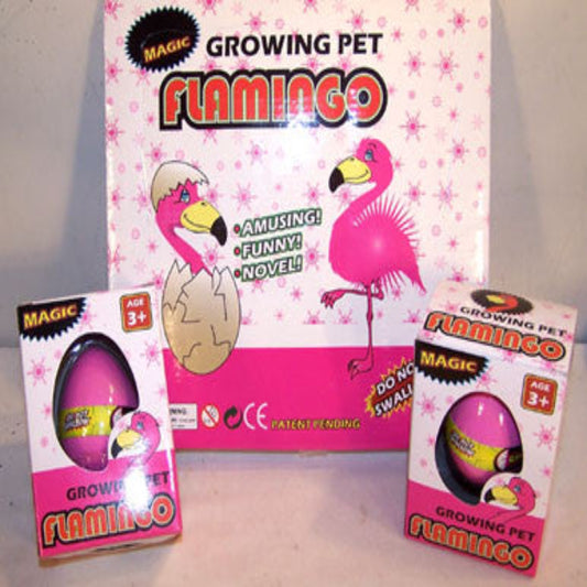 Buy HATCHING & GROWING FLAMINGO EGGS*- CLOSEOUT 75 CENTS EABulk Price