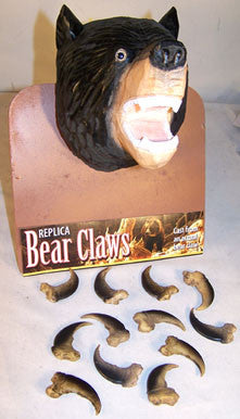 Buy BLACK BEAR REPLICA 2 INCH CLAWS(Sold by the dozen)Bulk Price