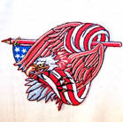 Buy EAGLE IN FLAG 4 INCH PATCHCLOSEOUT AS LOW AS 75 CENTS EABulk Price
