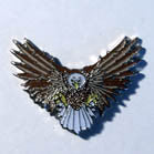 Wholesale FLYING EAGLE HAT / JACKET PIN (Sold by the piece)