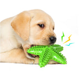 Star Shape Dog Chew Toys