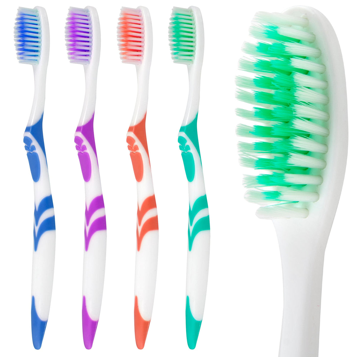 Bristle Head Adult Toothbrush Bulk