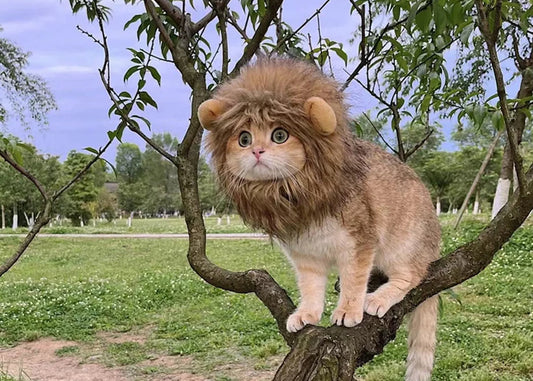 Pet Costume Toy, Lion Wig for Small Medium Cats & Dogs