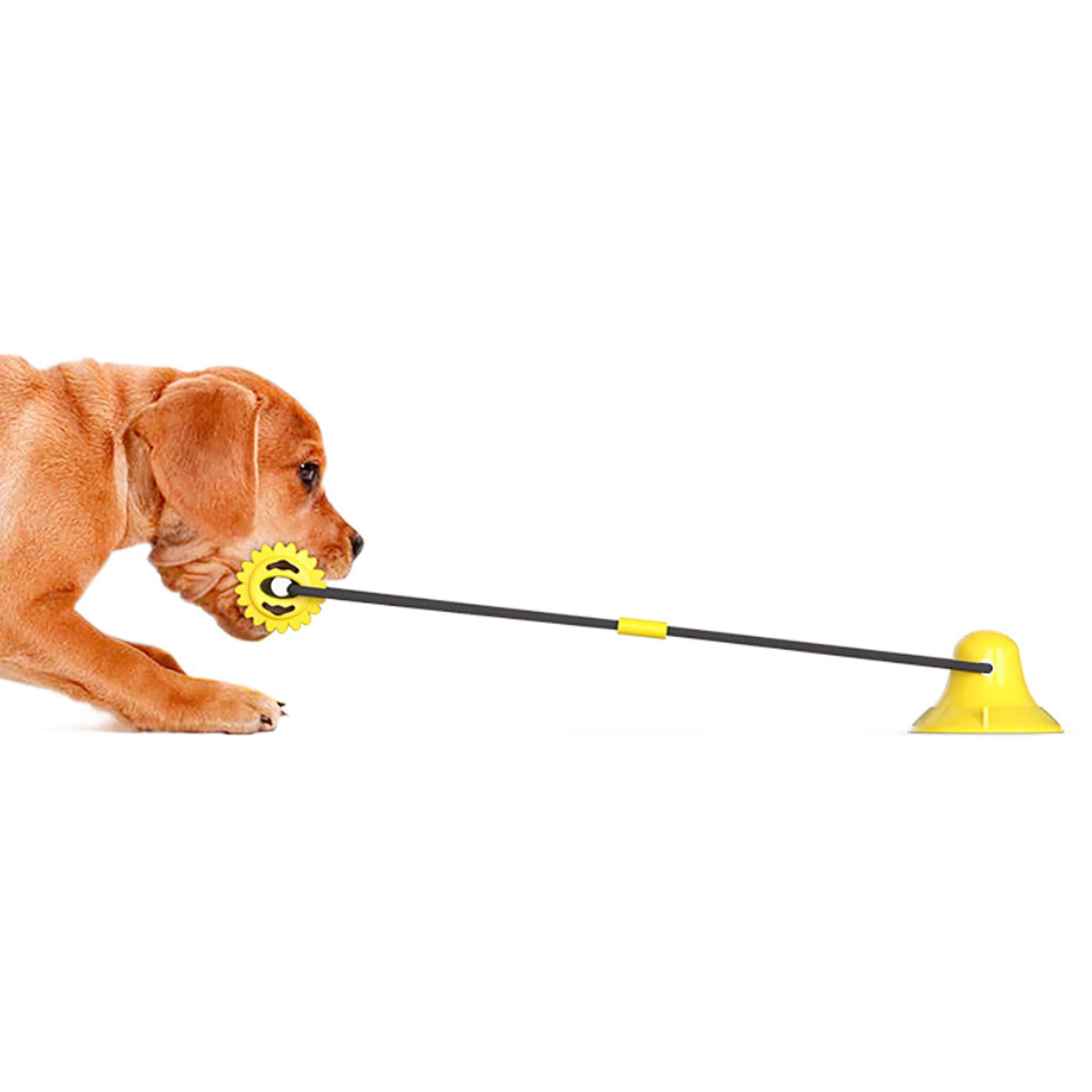Vacuum Suction Cup For Dogs