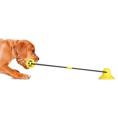 Vacuum Suction Cup For Dogs
