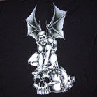 Wholesale GARGOYLE ON SKULL 45 INCH WALL BANNER / FLAG  (Sold by the piece) -* CLOSEOUT ONLY $2.95 EA