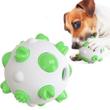 Spherical Shape Dog Toy