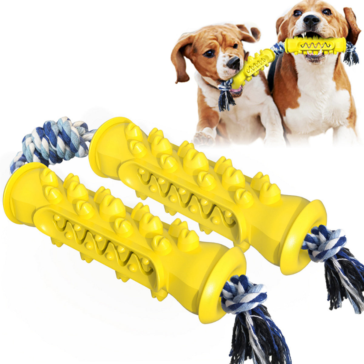 Dog Double Molar Rod with Cotton Rope