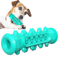 Sea Green Rubber Spiked Dog Chew Toy