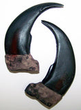 Buy LARGE 3 INCH GRIZZLY BEAR CLAW REPLICAS( Sold by the piece or dozenBulk Price