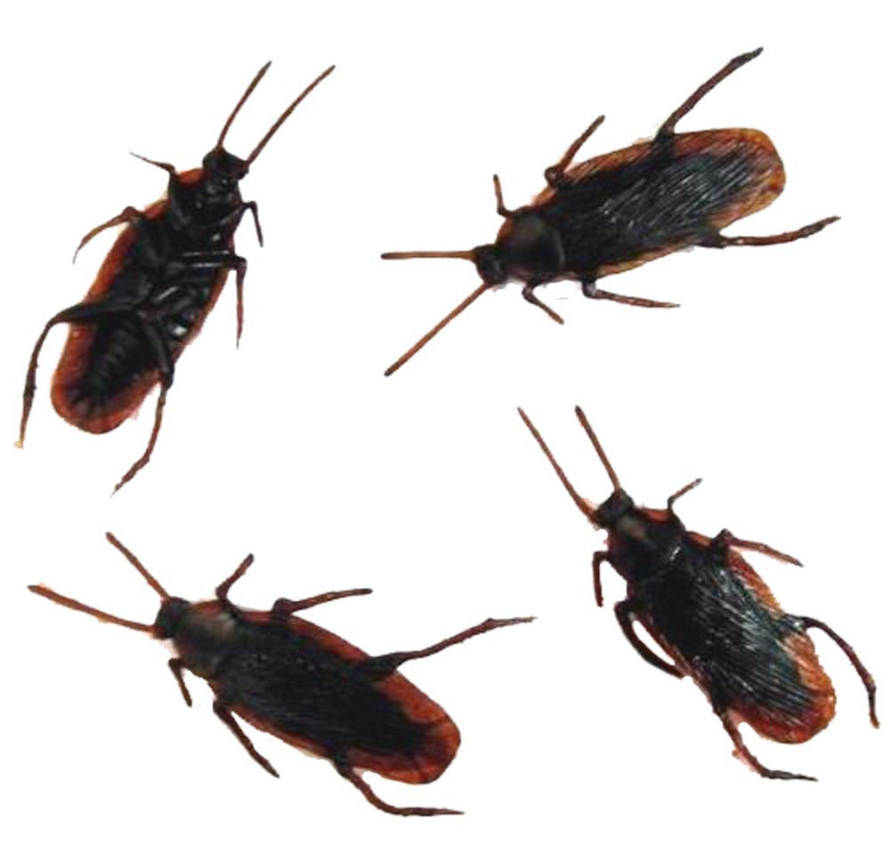 Wholesale BULK FAKE COCKROACHES (Sold by the dozen)