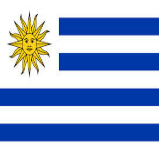 Wholesale New Flag URUGUAY Country Flag 3x5 | Show Your Patriotic Spirit with Pride (Sold by the piece)