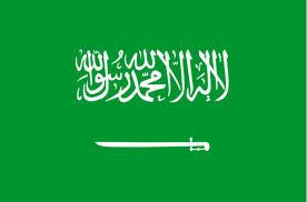 Wholesale SAUDI ARABIA COUNTRY 3' X 5' FLAG (Sold by the piece) CLOSEOUT $ 2.50 EA