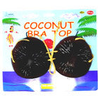 Wholesale COCONUT HAWAIIAN BRA (Sold by the piece OR dozen ) *- CLOSEOUT $ 1.00
