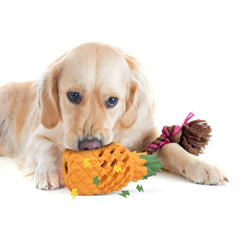 Paw some Pineapple: Dog Treat Toys for Pet Teeth Cleaning