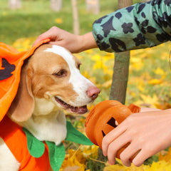 Pumpkin Shape with Skull Durable Dog Chew Toys - Spooky Fun for Your Furry Friend