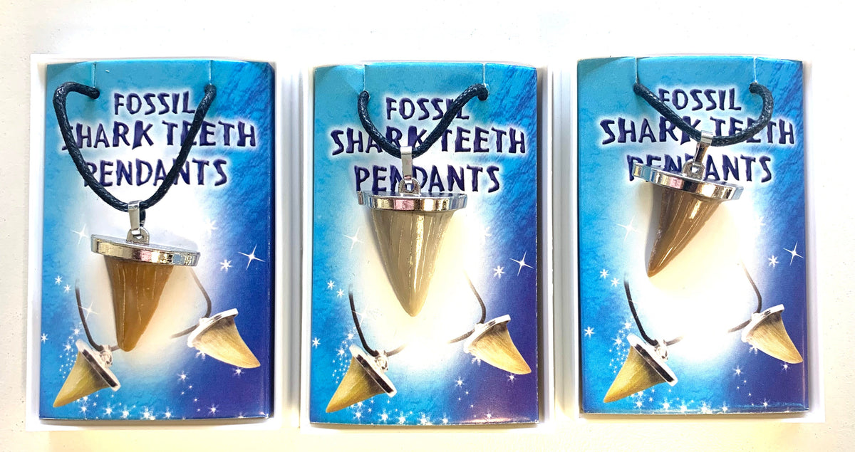 Buy JUMBO SHARK TOOTH FOSSIL REPLICA NECKLACES IN INDIVIDUAL DISPLAY BOXES*- CLOSEOUT NOW $1 EACHBulk Price