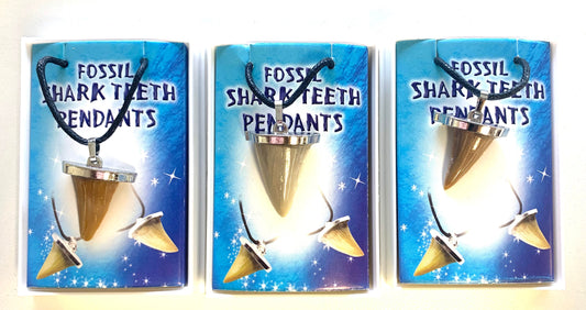 Buy JUMBO SHARK TOOTH FOSSIL REPLICA NECKLACES IN INDIVIDUAL DISPLAY BOXES*- CLOSEOUT NOW $1 EACHBulk Price